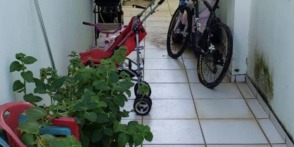 WhatsApp Image 2026-02-19 at 13.14.05 (1)