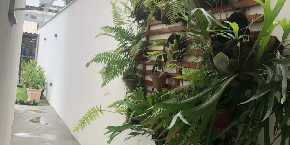 WhatsApp Image 2026-03-20 at 14.53.31 (1)